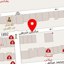روانشناس تهمینه امیریان
