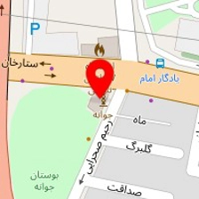 روانشناس رویا باویلی