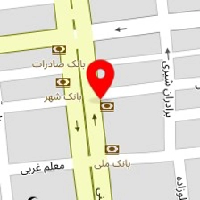 دکتر علیرضا ربیعی