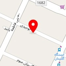 روانشناس سمیه ناطقی