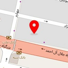 دکتر میرعون موسوی
