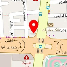 دکتر محمدرضا سلیمی خوزانی