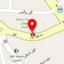 دکتر رویا باغبان پور