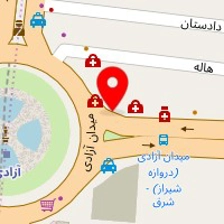 دکتر مینا قدیری