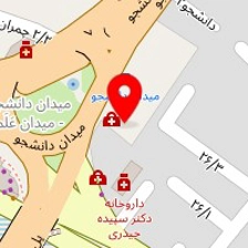 دکتر سعیده فروغی نیا
