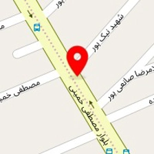 دکتر عزت اله ملک پور