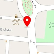 روانشناس سعید تاج الدینی