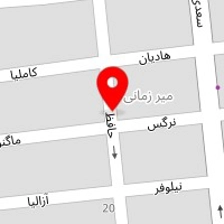 دکتر کامران نصرتی