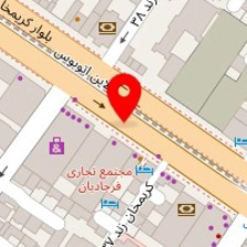 دکتر مینا آزمون