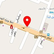 دکتر نوشین شاهمحمدی