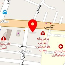 دکتر شهین موسوی