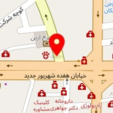 دکتر محمدصادق فضل