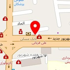 دکتر نیاز هادی