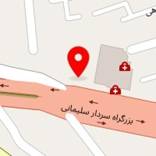 دکتر رباب سیدحسینی