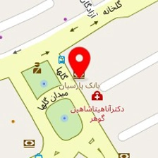 روانشناس ریحانه معینی فر
