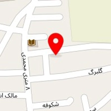 روانشناس سعید گلشیرازی