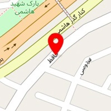 دکتر تقی رازی