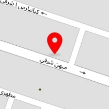 دکتر مینا مهدوی