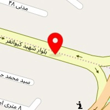 دکتر کوثر حسینی