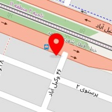 روانشناس سمیه تقدیسی