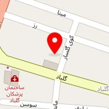 دکتر مریم زبردست