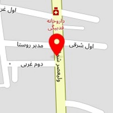 دکتر مارال بالشی
