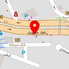 دکتر فهیمه ملک افضلی