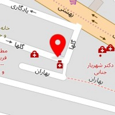 دکتر یاسمن رودنشین