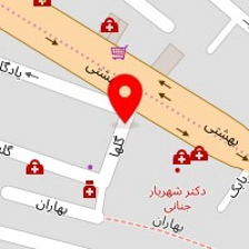دکتر مینا بخشعلی