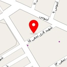 دکتر مهدی حسینی فرد