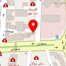 دکتر سیده هستی مدعوی