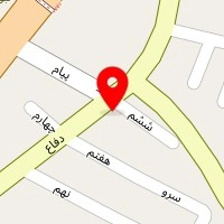 دکتر بهناز شرف الدین