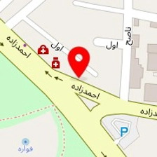 دکتر پروانه عبداللهیان