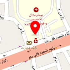 دکتر سعیده صدری