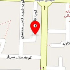 دکتر آمنه رحیمی