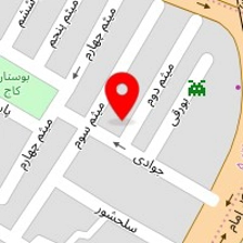 دکتر امین ریحانی