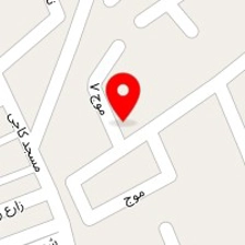 دکتر افسر طباطبایی