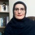 وکیل حدیث امیری