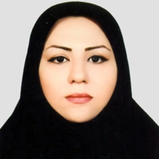 وکیل الهام پیرا