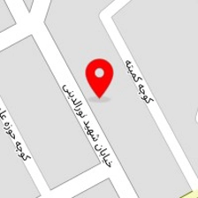 قالیشویی اتوماتیک افرندید