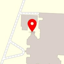 دکتر مریم رضوی