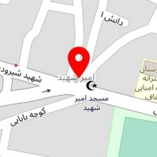 دکتر پوران حکیمی