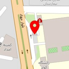 دکتر شهره لولویی