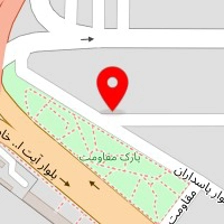 دکتر مهسا دانائی