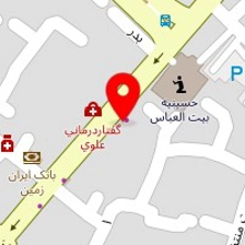 دکتر نگار امیری