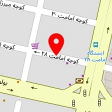 روانشناس نرگس گل امیری