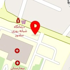 دکتر هنگامه شیخ