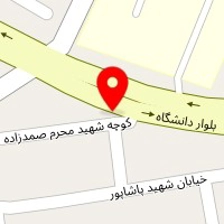 دکتر سعید منجی