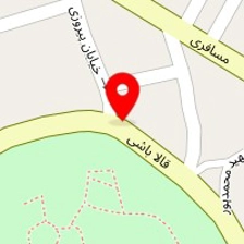 دکتر افرا علی پور