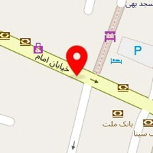 دکتر افرا علی پور